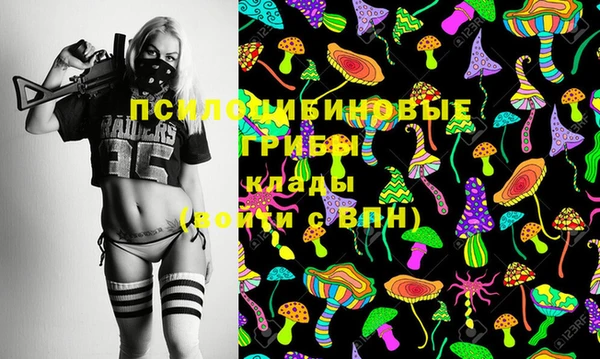 a pvp Арсеньев